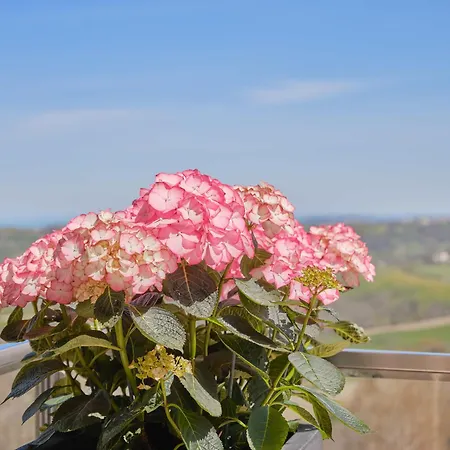 Albergo Diffuso - Il Poggetto tra Urbino&San Marino-3